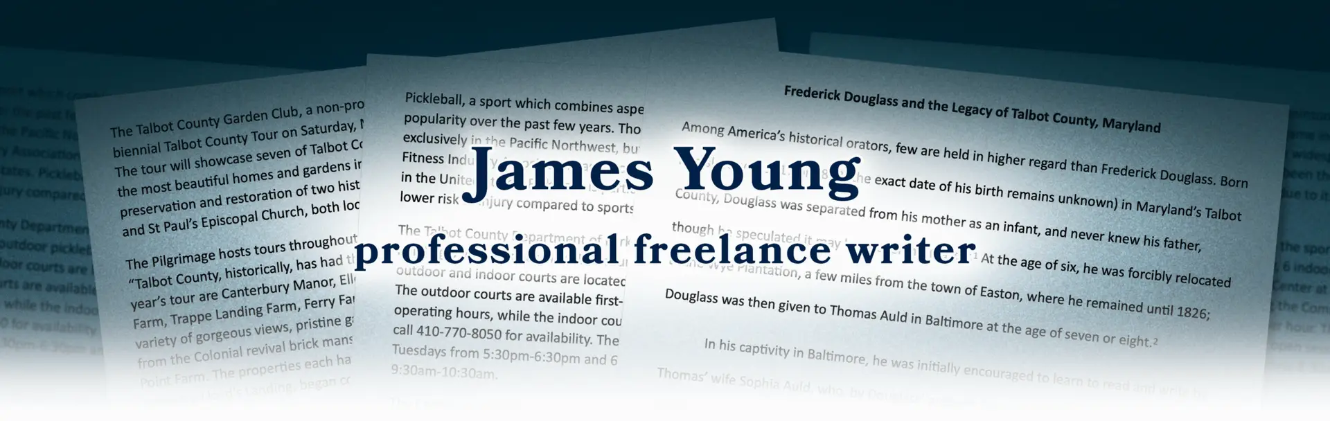James Young Professional Freelance Writer